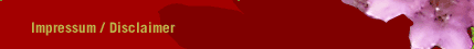 Impressum